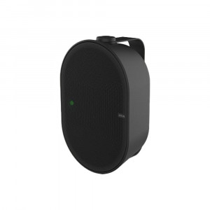Axis Audio C1111-E Network Cabinet Speaker Black