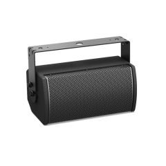 Bose ArenaMatch AMU105 100x100 Outdoor Loudspeaker Black