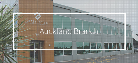 Auckland Branch Banner
