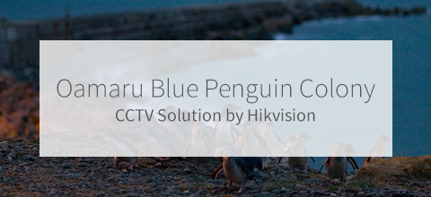 Oamaru Blue Penguin Colony Solutions Banner